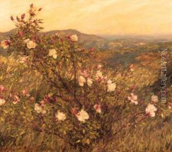 Neglected Roses, Provence Oil Painting - Henry Herbert La Thangue