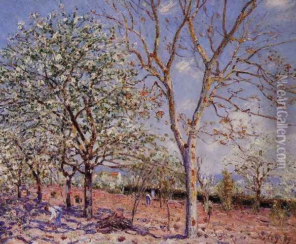 Plum and Walnut Trees in Spring Oil Painting - Alfred Sisley