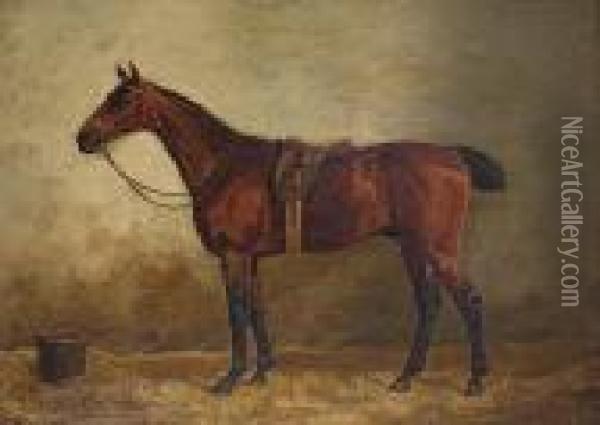 Gesatteltes Braunes Pferd Oil Painting - Emil Volkers