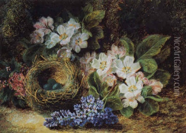 Still Life With Bird's Nest And Pink And White Flowers Oil Painting - Oliver Clare