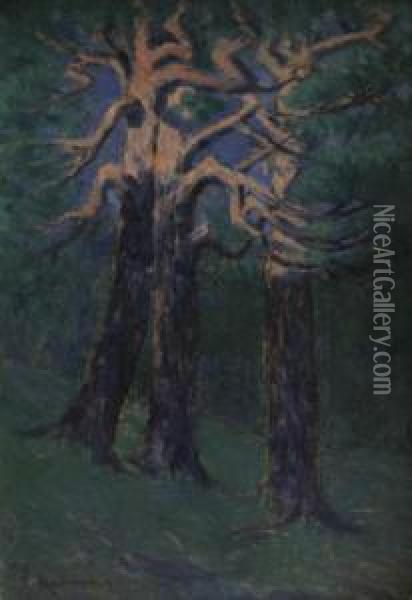 Pine Oil Painting - Vaclav Radimsky