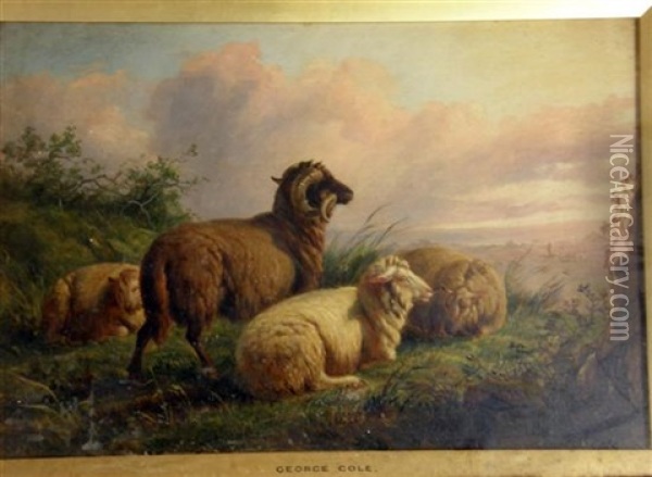 Sheep Resting In Landscape Setting Oil Painting - George Cole