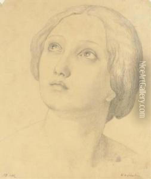 Head Of A Woman Looking Up Oil Painting - Friedrich Wilhelm von Schadow