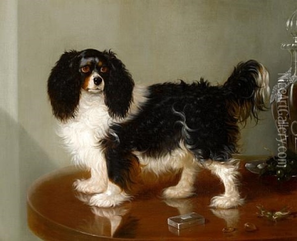 A Toy Spaniel Oil Painting - George Cole