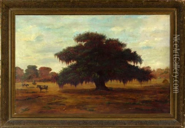 Autumnal Louisiana Pastoral Scene With Cattle Watering Beside An Oak Tree Oil Painting - William Henry Buck