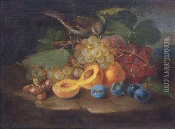 Still-life With Grapes, Peaches, Plums, Nuts And A Sparrow Oil Painting - George Forster