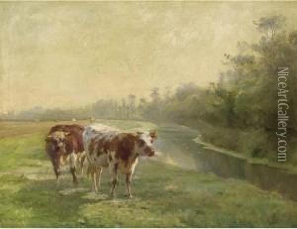 Cows In A Pasture By A Canal Oil Painting - Leon Barillot