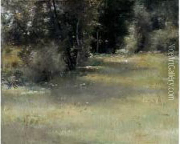 Paysage De Sous-bois Oil Painting - Pierre Desire Eugene Franc Lamy