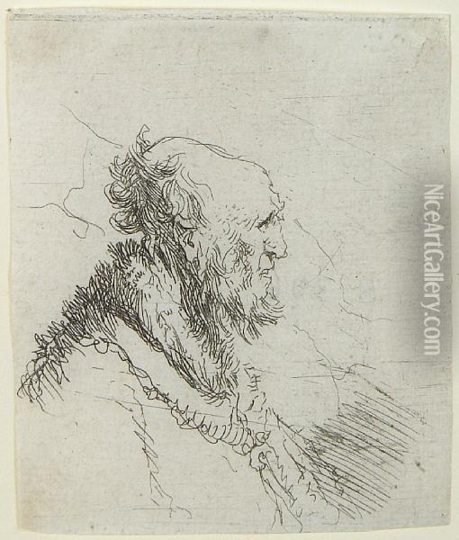 Bald Old Man With A Short Beard, In Profile Right Oil Painting - Rembrandt Van Rijn