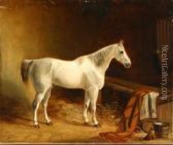 Grey Hunter In A Stable Oil Painting - Of John Alfred Wheeler