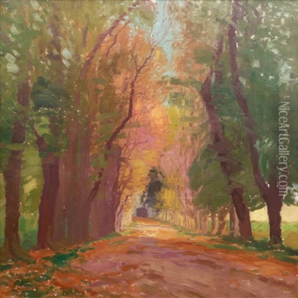 Podzimni Alej Oil Painting - Roman Havelka