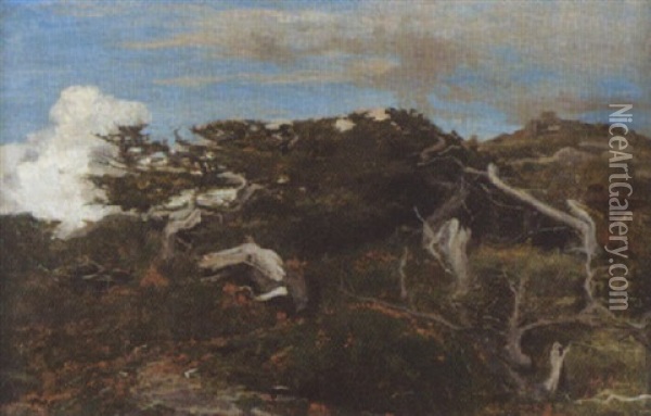 Sommerliche Heidelandschaft Mit Entwurzelten Baumen Oil Painting - Auguste Henry Berthoud
