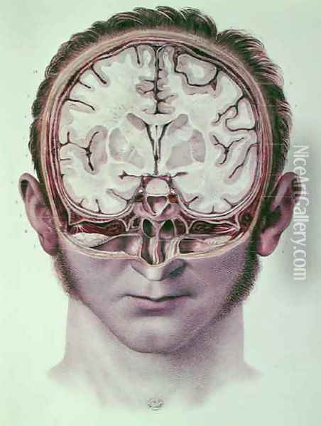 The Brain 2 Oil Painting - Nicolas Henri Jacob