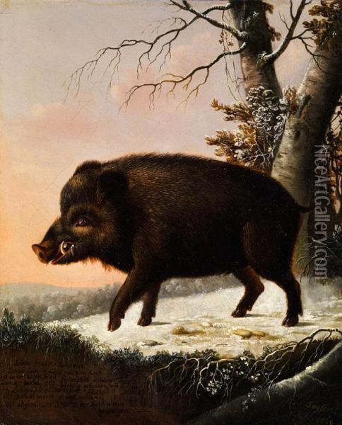 Portrait Eines Wildschweins Oil Painting - Eloy Seyfert