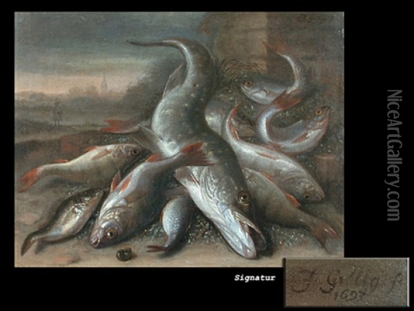 Stilleben Mit Fischen Oil Painting - Jakob Gillig