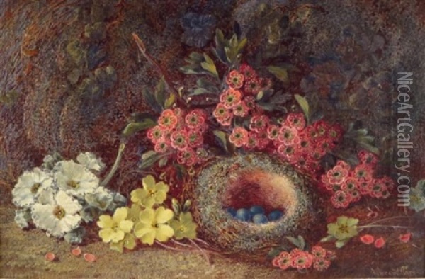Two Still Lifes With Fruit Oil Painting - Vincent Clare