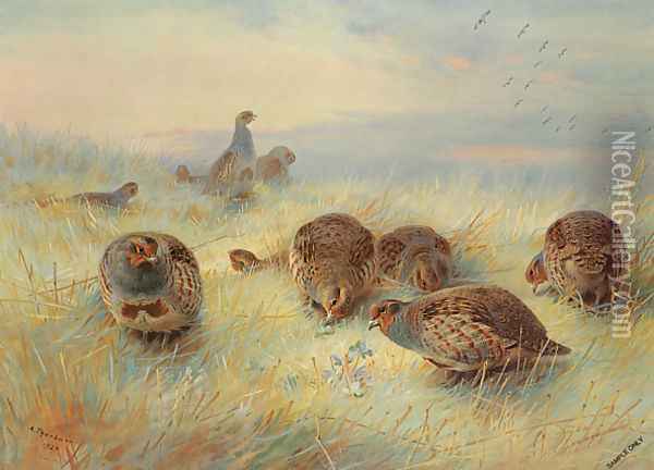 A Frosty Dawn Oil Painting - Archibald Thorburn