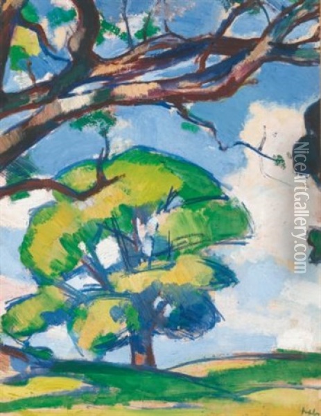 Trees, Douglas Hall Oil Painting - Samuel John Peploe