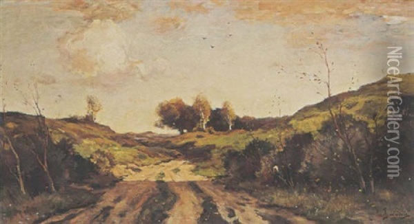 A Dune Landscape Oil Painting - Theophile De Bock