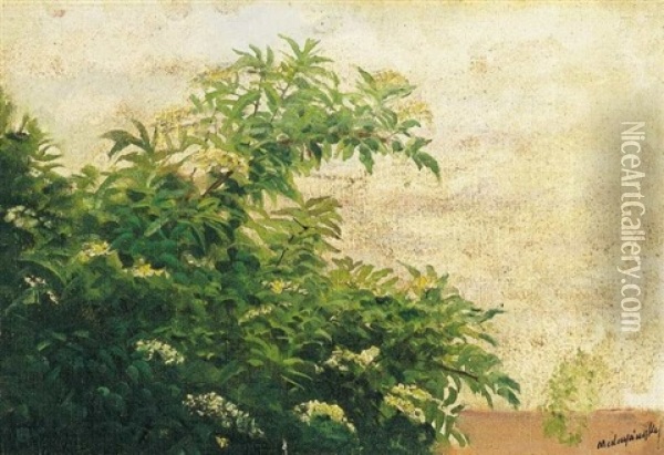 Viragzo Bodzabokor (blossoming Elderberry Bush) Oil Painting - Laszlo Mednyanszky