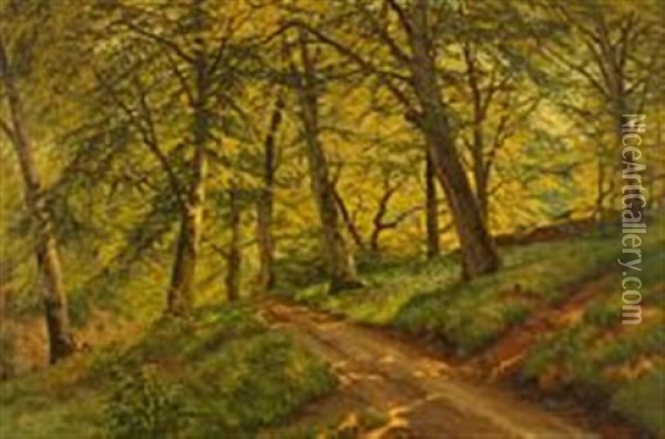A Scene From Marselisborg Forest Oil Painting - Carl Milton Jensen