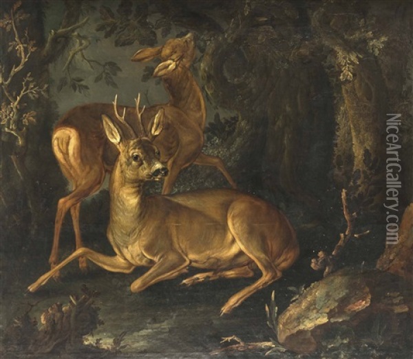 Zwei Rehe Oil Painting - Johann Melchior Roos