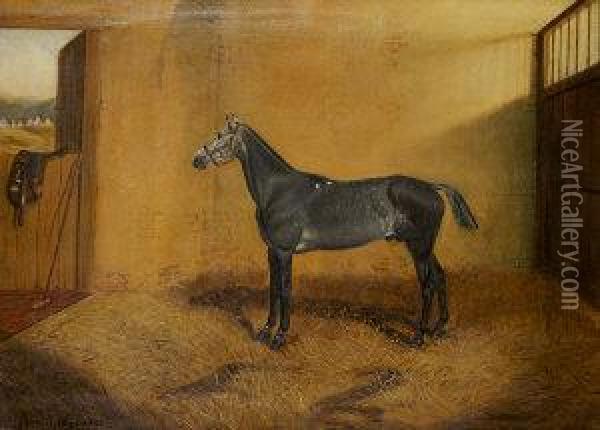 Polo Pony In A Box Oil Painting - J.C. Partridge