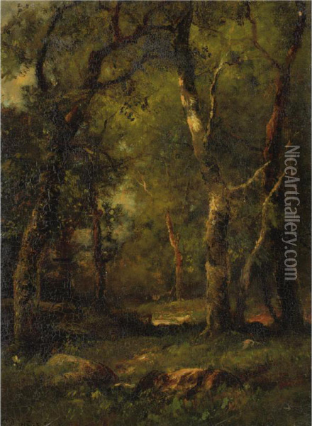 A Sunny Day In The Woods Oil Painting - Charles Linford