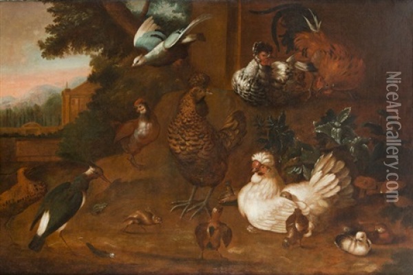 Birds Oil Painting - Melchior de Hondecoeter