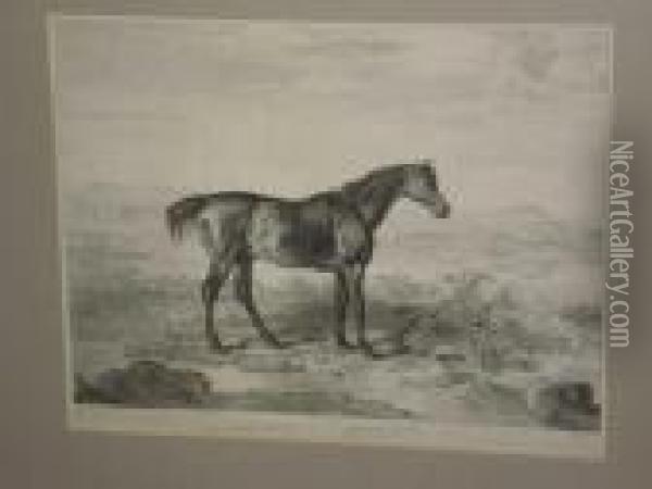 'doctor Syntax', A Horse In A 
Landscape, Together With Another 'primrose And Foal' In A Stable Oil Painting - James Ward