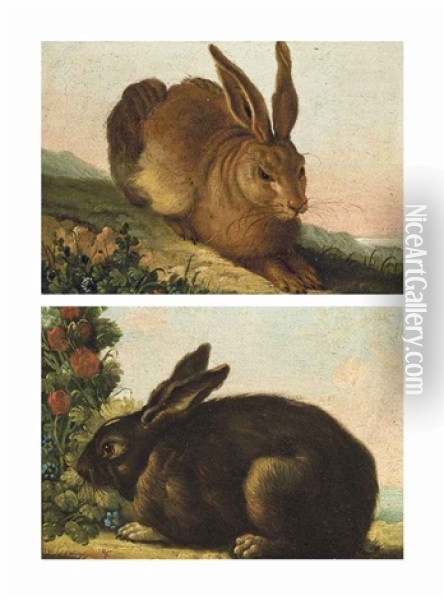 A Hare In A Landscape; And A Rabbit By A Bush (pair) Oil Painting - Albrecht Duerer