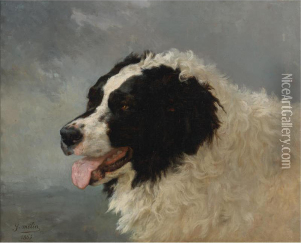 A Mountain Dog Oil Painting - Joseph Urbain Melin