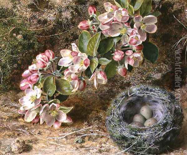 Blossom and Birds nest Oil Painting - John Sherrin