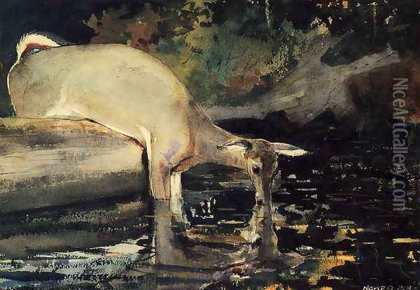 Deer Drinking Oil Painting - Winslow Homer