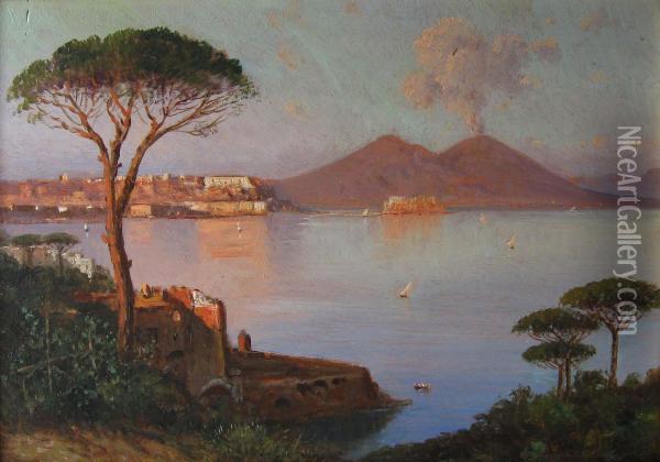 Golfo Di Napoli Con Il Vesuvio Oil Painting - Alessandro la Volpe