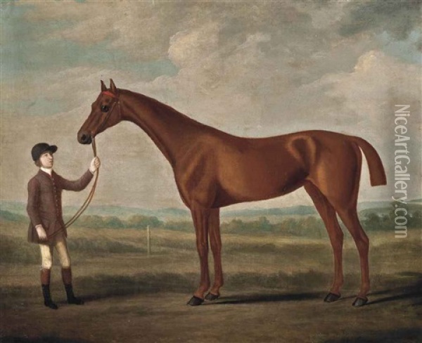 A Chestnut Racehorse And Groom Oil Painting - Francis Sartorius the Younger