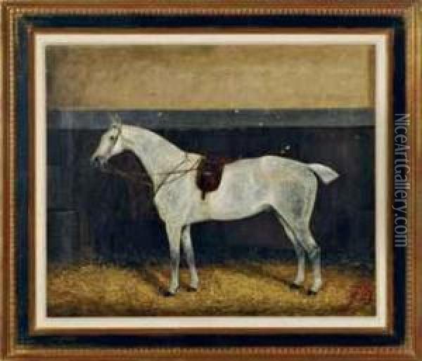 Portrait Of A Dappled Grey Horse Oil Painting - George Veal