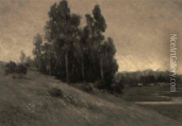 A Group Of Eucalyptus Trees On A Hill Oil Painting - Bertha Stringer Lee