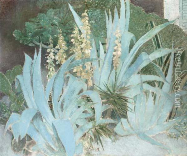 Cactus Oil Painting - Glyn Warren Philpot
