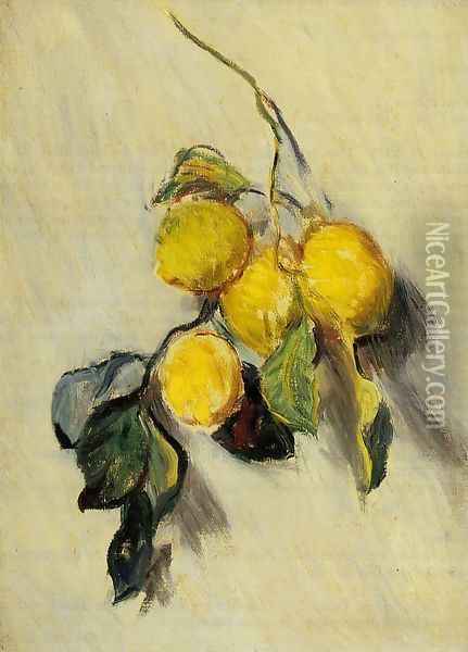 Branch Of Lemons Oil Painting - Claude Oscar Monet