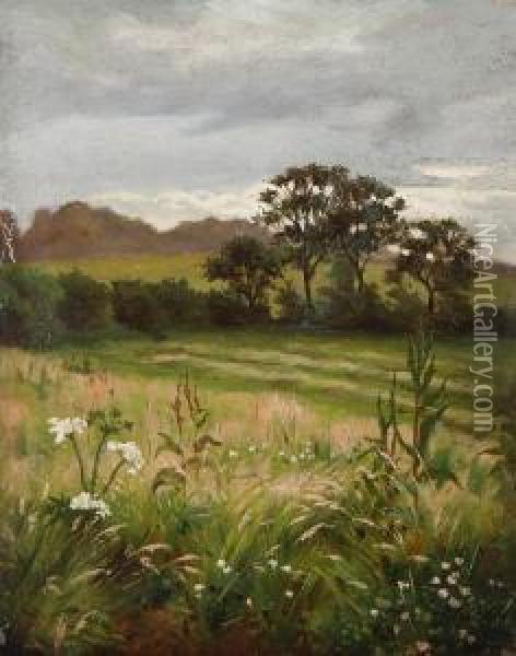 Summer Landscape Oil Painting - Frederick William Jackson