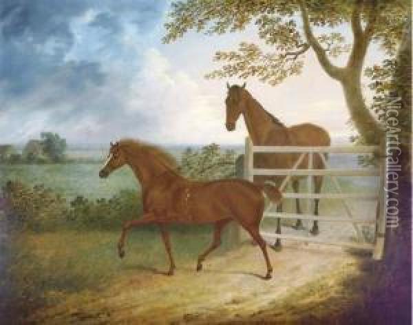 A Mare And Foal By A Five Bar Gate Oil Painting - Thomas Fairbairn
