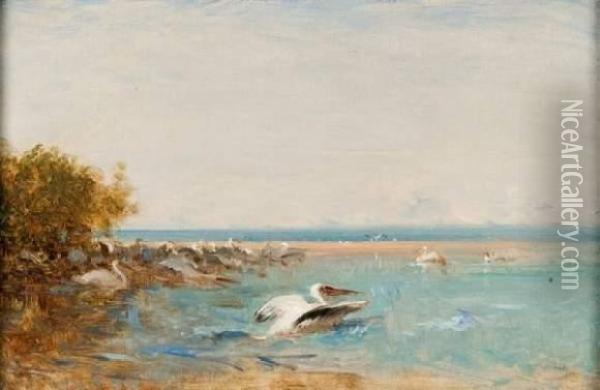 Les Pelicans Oil Painting - Felix Ziem