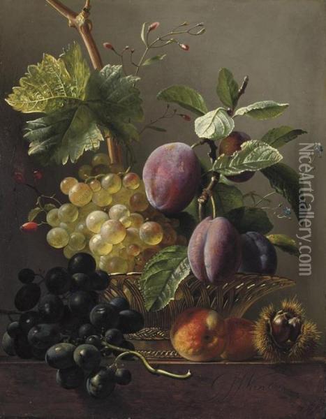 Grapes, Prunes, Peaches And A Chessnut On A Ledge Oil Painting - Georgius Jacobus J. Van Os
