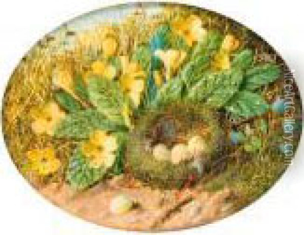 Primroses, Hairbells And A 
Bird's Nest On A Mossy Bank; And Abird's Nest, Apple Blossom And A 
Chaffinch On A Mossy Bank Oil Painting - William Cruickshank