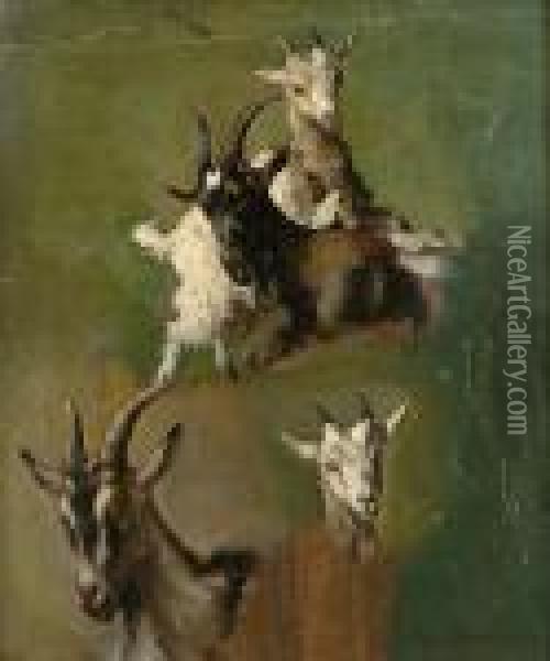 Studies Of Goats Oil Painting - Paul Friedrich Meyerheim