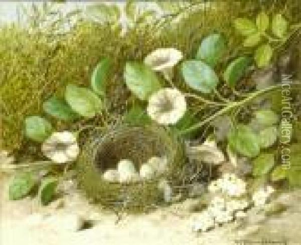 Still Life With Bird's Nest On A Mossy Bank Oil Painting - William Cruickshank