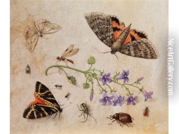 Insekten Um Einen Blattstiel Mit Glockenblumen Gruppiert Oil Painting - Jan van Kessel the Elder