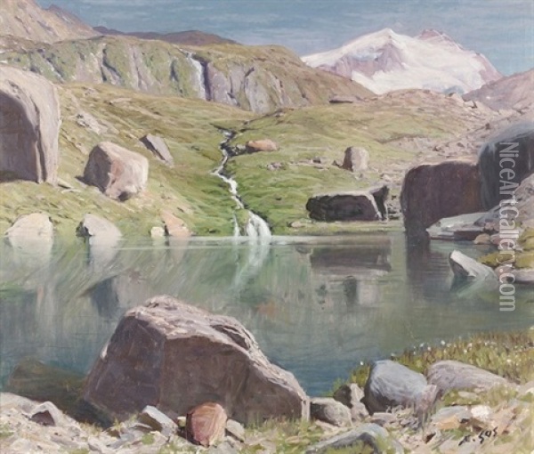 Der Stellisee Im Sommer Oil Painting - Albert Henri John Gos
