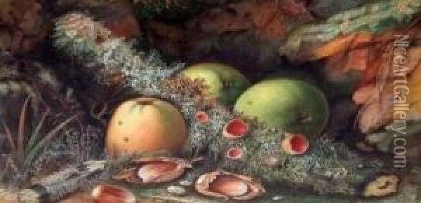 Still Life Study Of Fruits And Nuts On A Mossy Bank Oil Painting - John Sherrin
